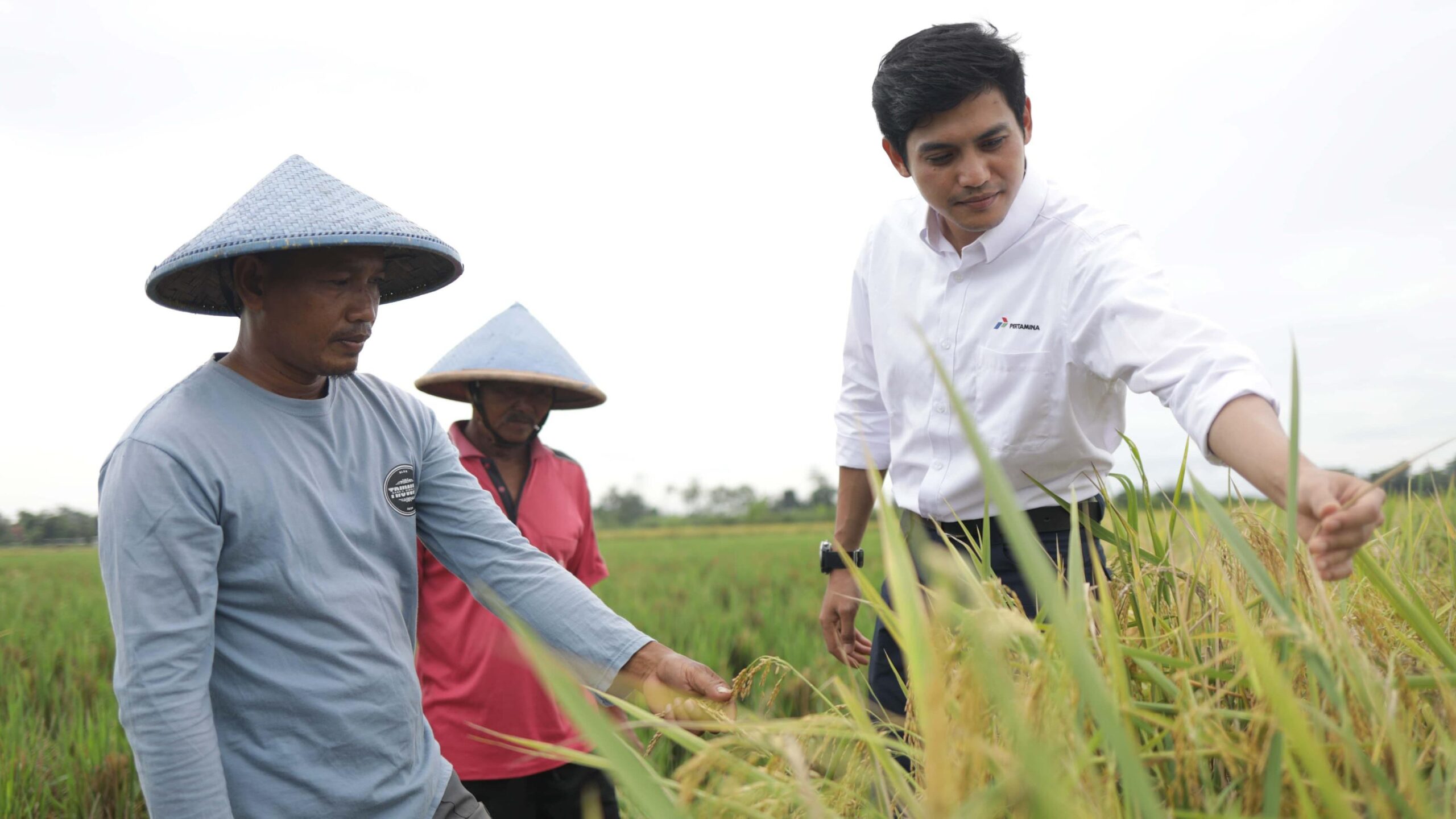 Pendampingan petani mustahik dalam program zakat pertanian produktif.